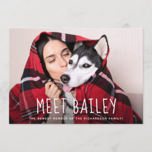 Nosso anúncio simples novo da foto do cão de