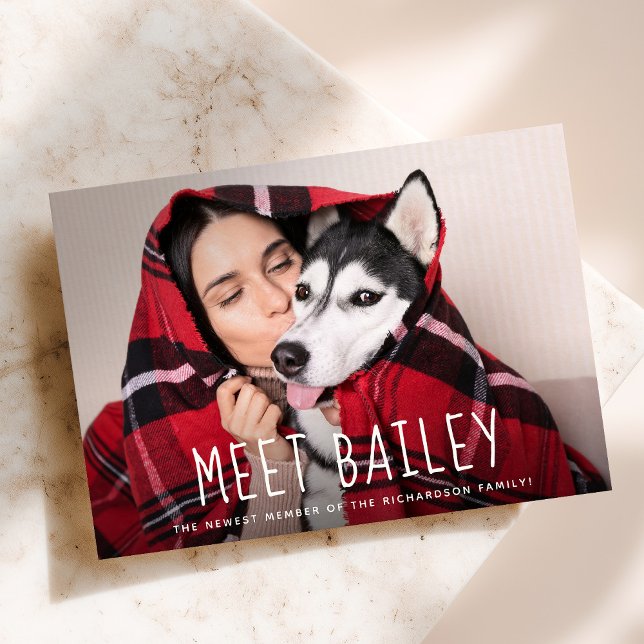 Nosso anúncio simples novo da foto do cão de (Criador carregado)