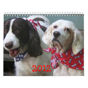 Nosso calendário 2012 do bloco