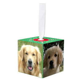 Nosso Pedido De Cubo De Foto Pets 5