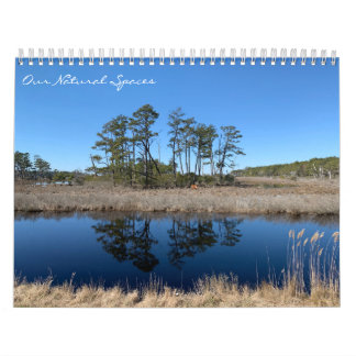 Nossos Espaços Naturais: calendário dreamflower 20