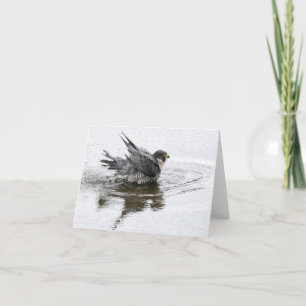 Nota de Beleza Banheira ou Cartões Saudáveis