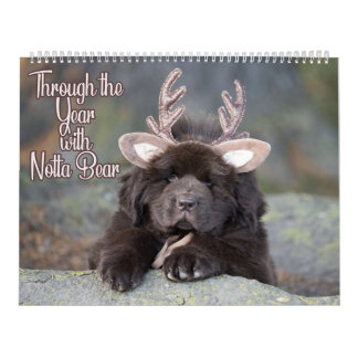 Nota de Calendário Grande com Duas Páginas Durante