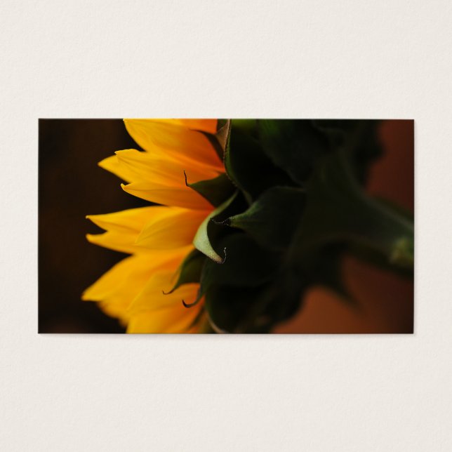 Nota doce (girassol) (Frente)