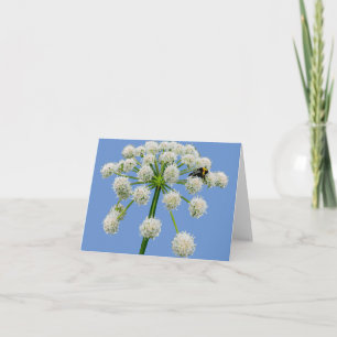 Notas Abelha no cartão de flor de angélica