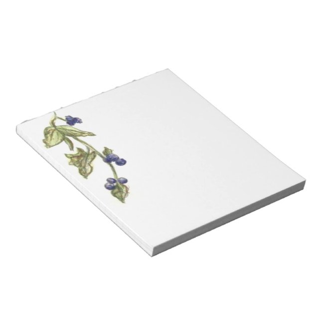Notas Airelas Azuis No Bloco De Notebooks De Vinha (Inclinado)
