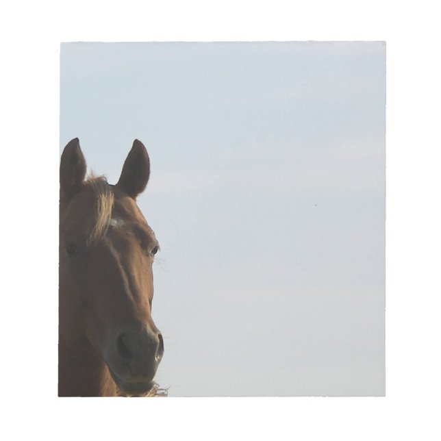 Notas Bloco de ancoragem (Frente)