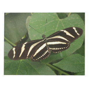 Notas Bloco de Borboletas Zebra Longwing