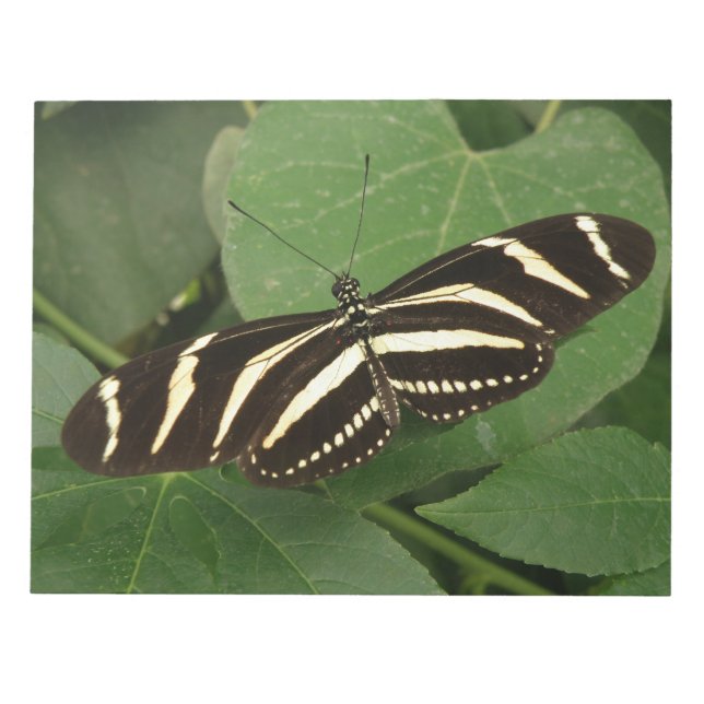Notas Bloco de Borboletas Zebra Longwing (Frente)