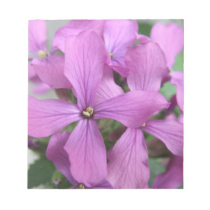 Notas Bloco de flores silvestres roxas