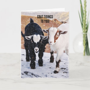 Notas Cabritos Fofos Cartão de Natal de Fazenda