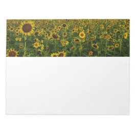 Notas Campo do Bloco de Flores Solares