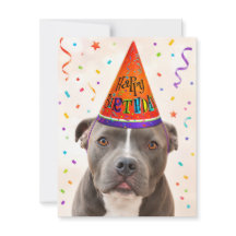 Cartão de aniversário do cão de resgate Zeus
