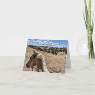 Notas Cartão de Nota, Cavalo de Palomino e Céu Azul