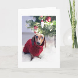 Notas Dachshund com cartão de Natal de Árvore