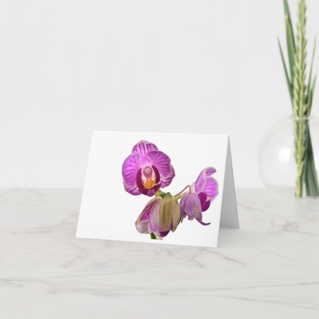 Notas diminutas da orquídea (Frente)