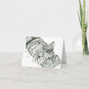 Notas do Hippo do vazio