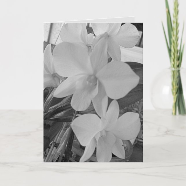 Notas Orquídeas em tons de cinza em um Cartão de condolê (Frente)