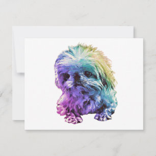 Notas Papelaria Pekingesa - Cartão de vazio "Marcus"