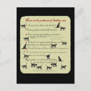 Notas sobre a "Gentileza Arte da Criação de Gatos"