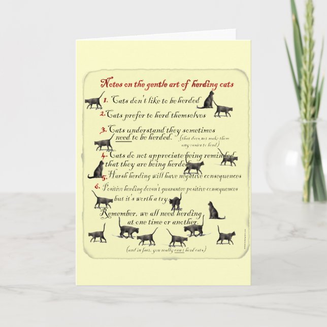 Notas sobre a "Gentileza Arte da Criação de Gatos" (Frente)