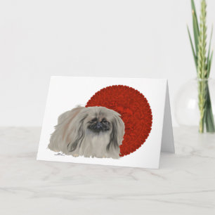 Notas sobre o Cão Pequinês