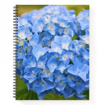 NOTEBOOK CAPE COD HIDRANGEA