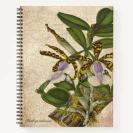 Notebook Cattleya Aclandiae Orchid - Chic