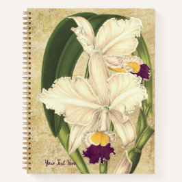 Notebook Cattleya quadricolor Espiral