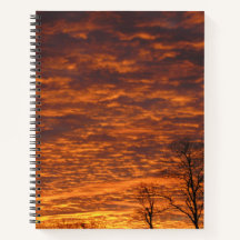 Notebook de sonho noturno