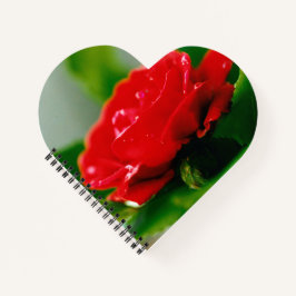 Notebook espiral em forma de Rosa vermelha matinal