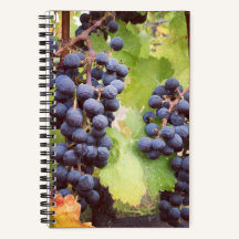 Notebook Grapevine (Cobrir do Duro)