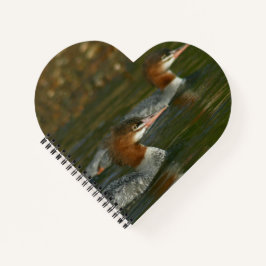 Notebook Merganser Spiral