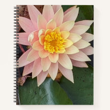 Notebook Water Lily Spiral