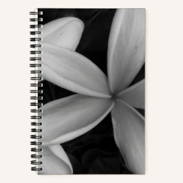 Notebook White Hawaiian Flowers Foto Espiral