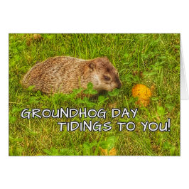 Notícias do dia de Groundhog a você! cartões
