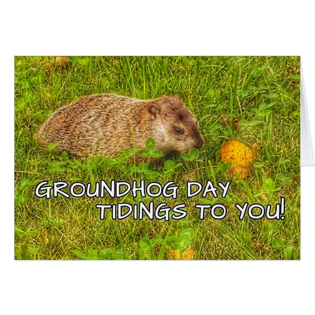 Notícias do dia de Groundhog a você! cartões (Frente Horizontal)