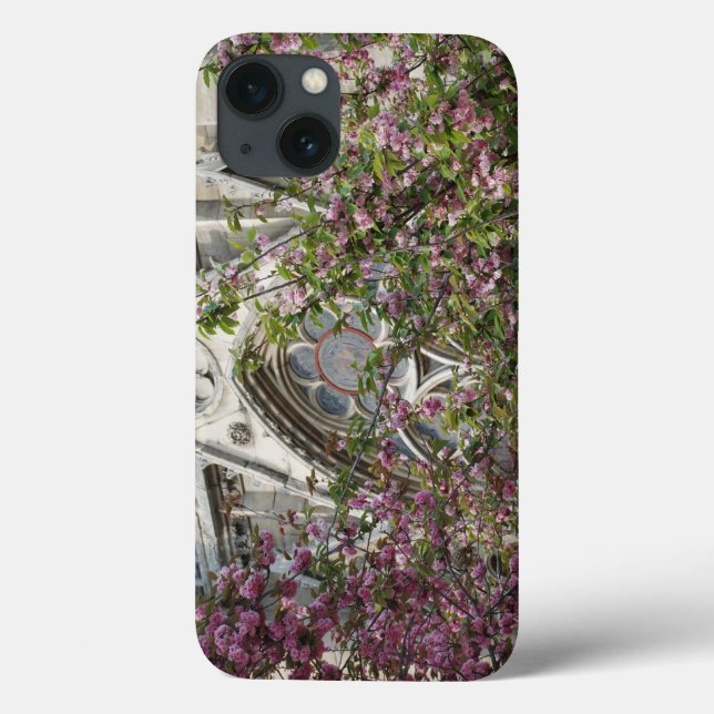 Notre Dame primavera (Verso)