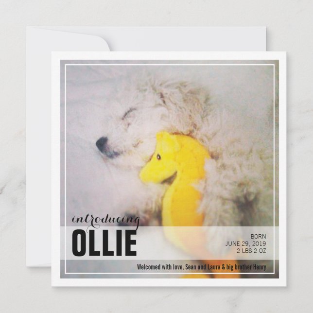 Nova Adoção de Cupão | Anúncio de PET (Frente)