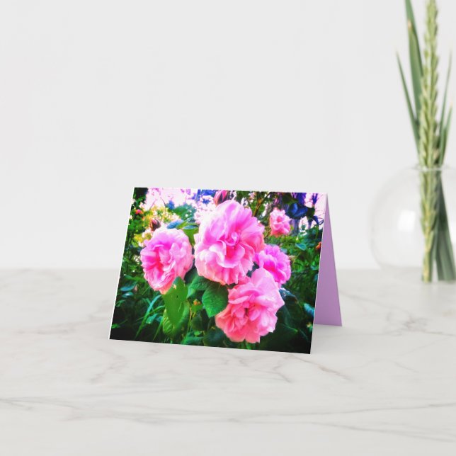 NOVA! CARTÃO DE SAUDAÇÕES COM ROSAS ROSAS (Frente)