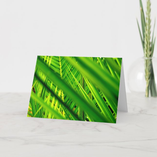 (Nova Chegada) Cartão de Saudação (Frente)