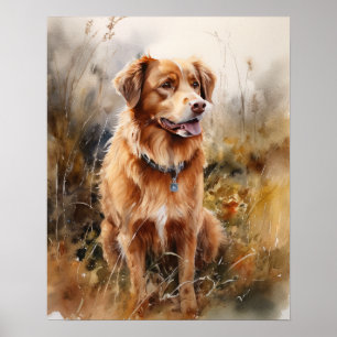 Nova Escócia Duck Tolice Retriever Dog Art Poster