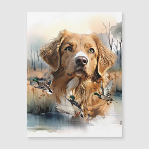 Nova Escócia Duck Tolling Retriever, Arte