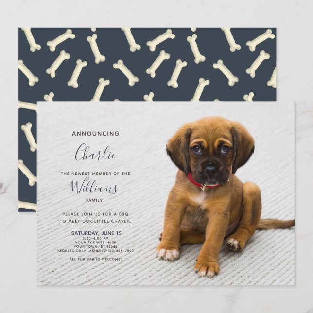 Nova Foto de Anúncio de Adoção de Kitten (Frente/Verso)