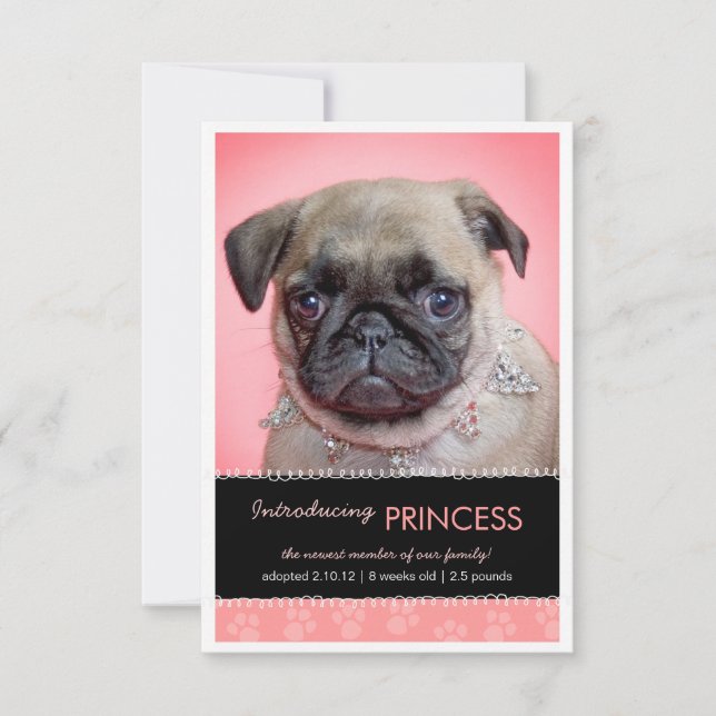 Nova pata cor-de-rosa imprime o anúncio de fotos (Frente)