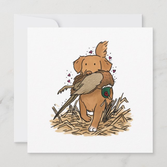 Nova Scotia Duck Tolling Retriever (Frente)