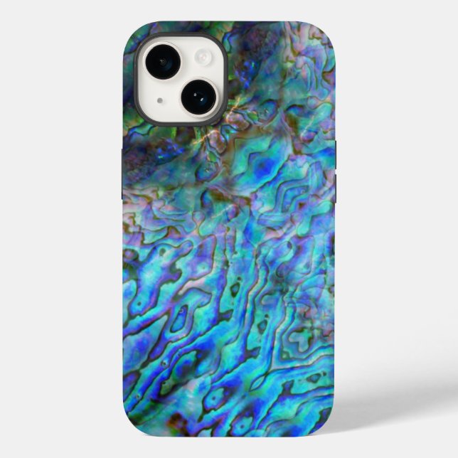 NOVA ZEALAND KIWI PAUA (Verso)