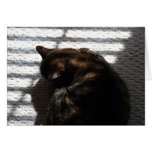 Nove-time Nap, cartão