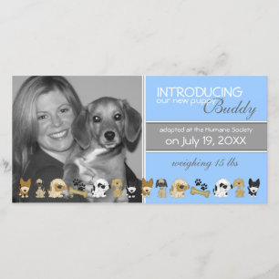 Novo Anúncio de Adoção de Cão