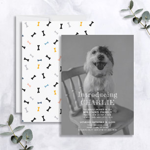 Novo Anúncio de adoção de foto em puppy